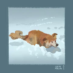 Portrait de Kanu, un gros chien poilu dans la neige